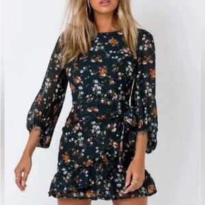 Long sleeve Princess Polly dress